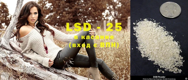 PSILOCYBIN Липки
