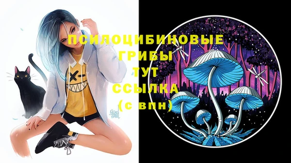 молекула духа Лихославль
