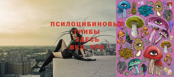 mdpv Лиски
