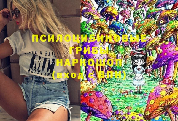 молекула духа Лихославль