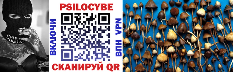 Псилоцибиновые грибы Cubensis  Купить  Кондопога 